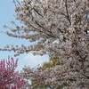 三重県 なばなの里イルミネーション ２０２２年 夏 サマーイルミネーション 期間 時間は？