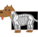 機械犬のまなび：化学×機械学習