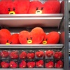 【BT21】韓国ホンデ店の行き方！TATAグッズを求めて行ってきた！【オタク全開】