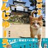 岡山県にある天空の城の猫城主「さんじゅーろー」