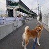 2024年の大晦日の過ごし方。