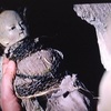 アンホーリー　忌まわしき聖地