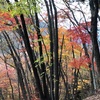 紅葉の雲取山。自分の位置情報を知る方法