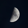月見