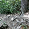 真面目に登山、鹿島槍ヶ岳＆爺ヶ岳。①