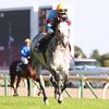 クラス２戦目。阪神の逆瀬川Ｓと両睨みでしたが、勝ち鞍のある舞台を選択。上がり重点の追い切りが多く、中山への輸送を行っても、馬体重は前走より増えているかも。また、鞍上は全くのテン乗りなので、乗り難しさがあるこの馬を如何に制御できるかどうかもポイント。★ナイトバナレット