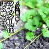 誤解は無いが幅も無い