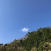 毎日の散歩