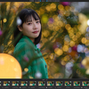 本日の現像から 2023.12.10 その1 ─ もきゅさん 2023.11.18 デンパーク ─