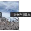 2026年桜見物まとめ