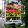 SUBWAYの野菜盛り放題へ行って来ました