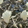 嫉妬されることは、自分の価値を教えてくれる貴重なサイン。