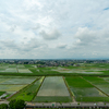 田園