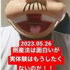 『【2023.05.26】倒産法は面白いが実体験はもうしたくないのだ！！【#今日の勉強記録】』