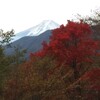 紅葉と雪富士