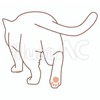 去って行く、ねこの後ろ姿…