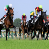 歴史的名勝負！ハナ差で無敗馬エフフォーリアの夢を砕いたシャフリヤール優勝【競馬】