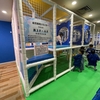 オープン戦2025｜バンテリンドームのドラゴンズワールドで遊んできたよ