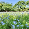 「不登校で役員はどうする？ 私が“名簿に名前を載せなかった”理由と当時の気持ち」
