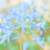 あるがままの自分で日々を楽しむコツ｜波立つ心を安心に変える意識とは