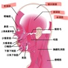 男女問わず必見‼️髪の毛もお肌も元気にするノーズビューの使い方🌼