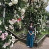 ふたたびバラ園🌹