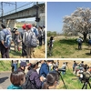 春らんまん…ヤング探鳥会(多摩川)