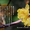 こころの道しるべ（252）悲しみの理由