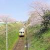 2017年 桜の開花予想日