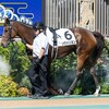 【一口馬主／ソワドリヨン】12月1日㈰ 同日出走、先陣を切るのは君だ！
