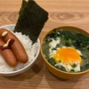 初ブログ#お米食べるダイエット