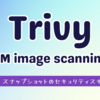 Trivy の VM image scanning で AMI / EBS スナップショットのセキュリティスキャンをしよう