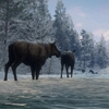 【theHunter】アスキー・リッジ狩猟保護区：ストーリーミッション②