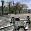 裂けた！！ - NoePRIMATO