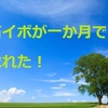 【塗り薬治療１か月】石イボころりんすっとんとん！