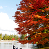 平泉世界遺産の毛越寺（もうつうじ）庭園の紅葉を撮影！！