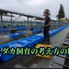 私のメダカ飼育の考え方、その原点は・・・
