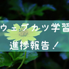 ウェブカツ！でプログラミング学習【文系・未経験がプログラミング学習して３ヶ月半！】