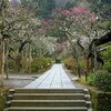 つれづれに　～シネマ鑑賞　－駆け込み寺　東慶寺