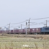 第2596列車　「　伯備から来たロクヨンセンの貨物列車を狙う 2023・2月 四国中国チキ盛り遠征その6　」