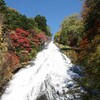 日光へ紅葉を見に行く旅（湯滝・湯ノ湖）