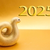 今年はこんな1年だった