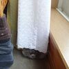 ただ ただ可愛い ＆ 骨折疑惑のご報告