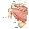 五十肩の原因