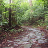 【箱根】湯坂路～箱根旧街道　名瀑を繋ぐ歴史の道