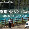 VLOG【青い池】美瑛ブルーの美しい青の絶景が素敵すぎます♪北海道 愛犬とキャンピングカーの旅 2021 EP22（2021/08/06）