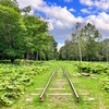 糠平湖周辺／廃線跡をめぐる幌加駅跡とタウシュベツ川橋梁（めがね橋）【北海道】