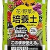 ベランダ家庭菜園でイチゴやパプリカが育ったよ