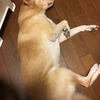 へんです