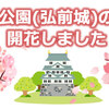 弘前公園(弘前城)の桜も開花しました 満開は4月19日予想 2021年 